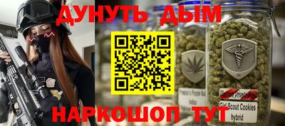 ешки Будённовск